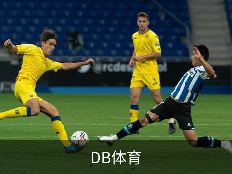 走进DB体育
